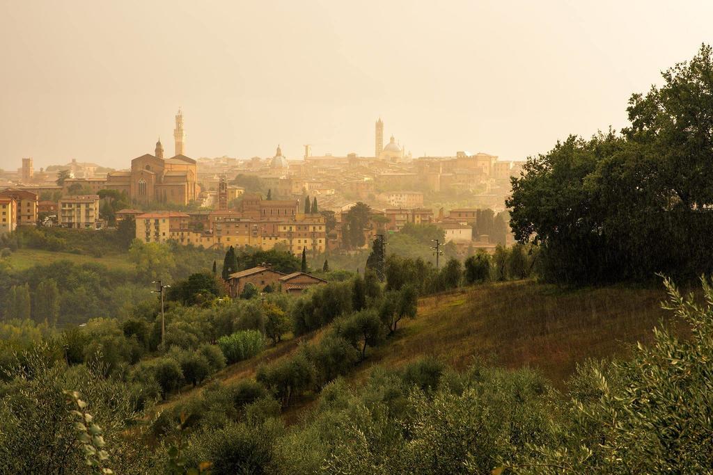 Agriturismo Colombino Siena Ngoại thất bức ảnh