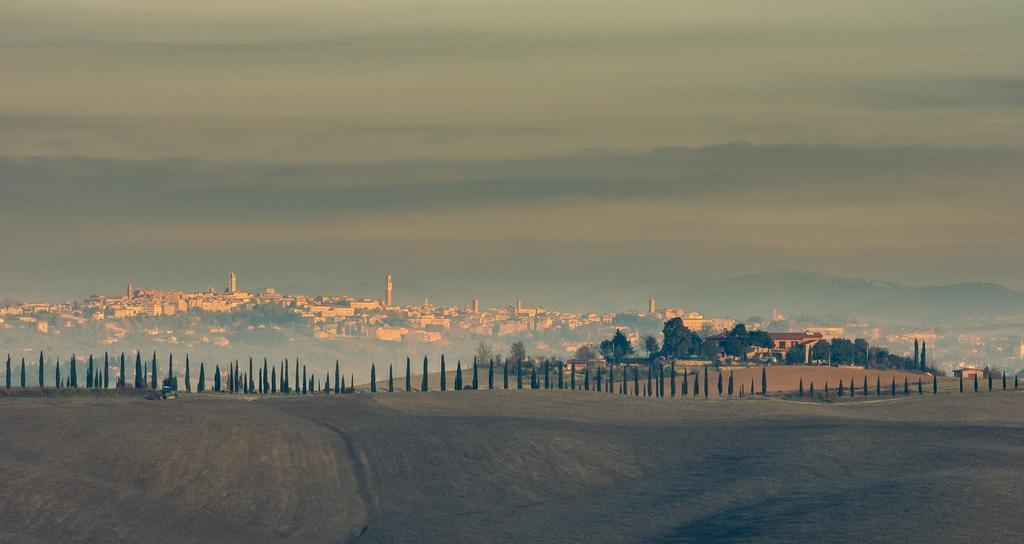 Agriturismo Colombino Siena Ngoại thất bức ảnh